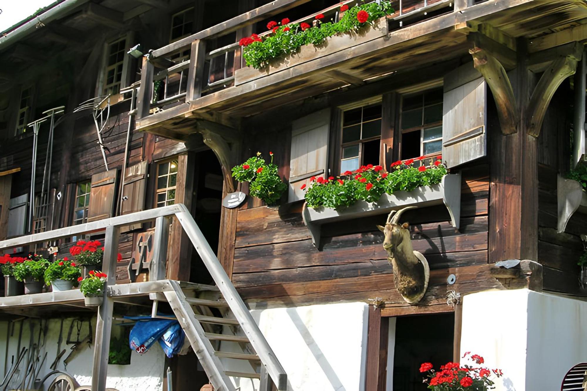Völkle Apartment *